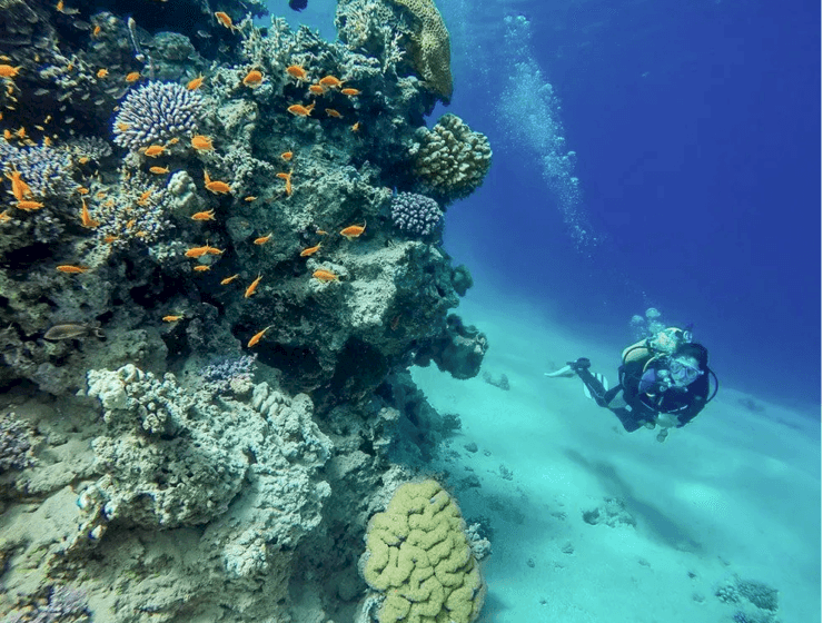 2 YILDIZ DALIŞ EĞİTİMİ