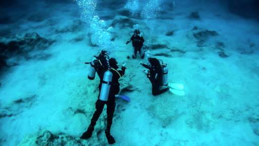 1 YILDIZ DALIŞ EĞİTİMİ