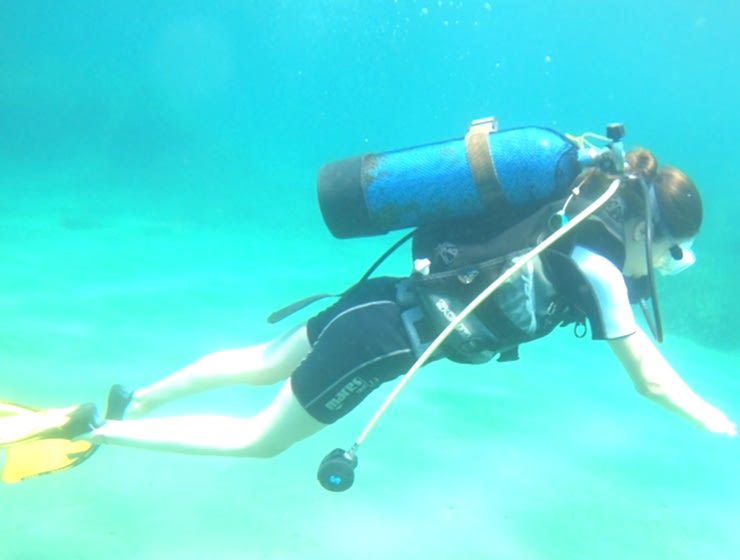 Dalgıç Belgesi Nasıl Alınır?