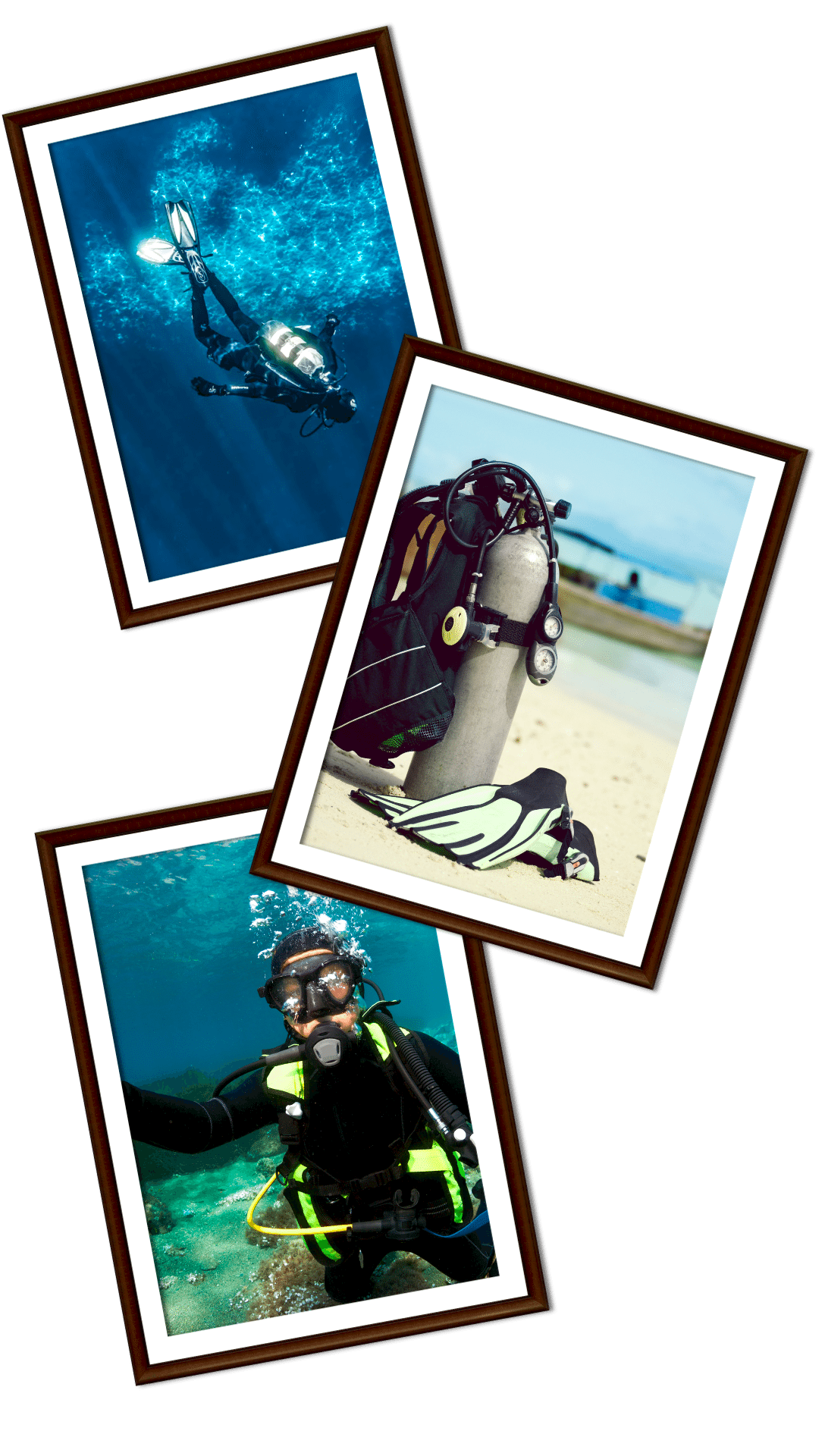 İzmir Tüplü Dalış